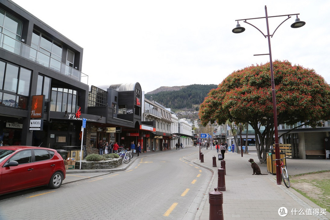 在那片纯净而自然的土地上——新西兰南岛自驾11日之旅