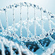 尝个分子生物学的鲜——WeGene微基因检测众测报告