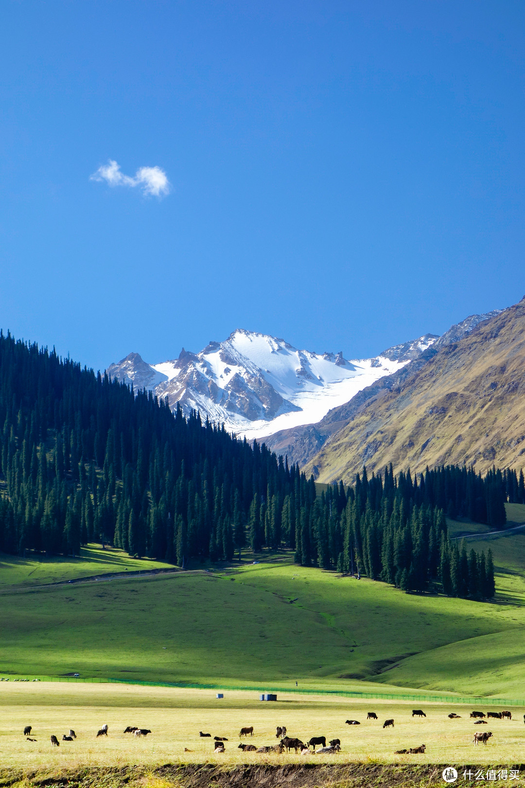 记风光爱好者2015九月北疆之旅