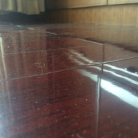 智宝智兔扫地机器人使用感受(噪音|卡扣|充电)