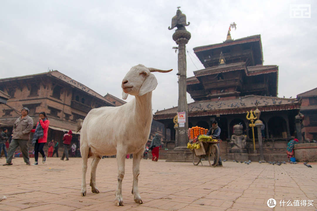 穷开心的国度——尼泊尔