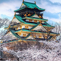 春秋航空继续发力赏樱季：3月27日开扬州泰州直飞日本大阪、茨城新航线