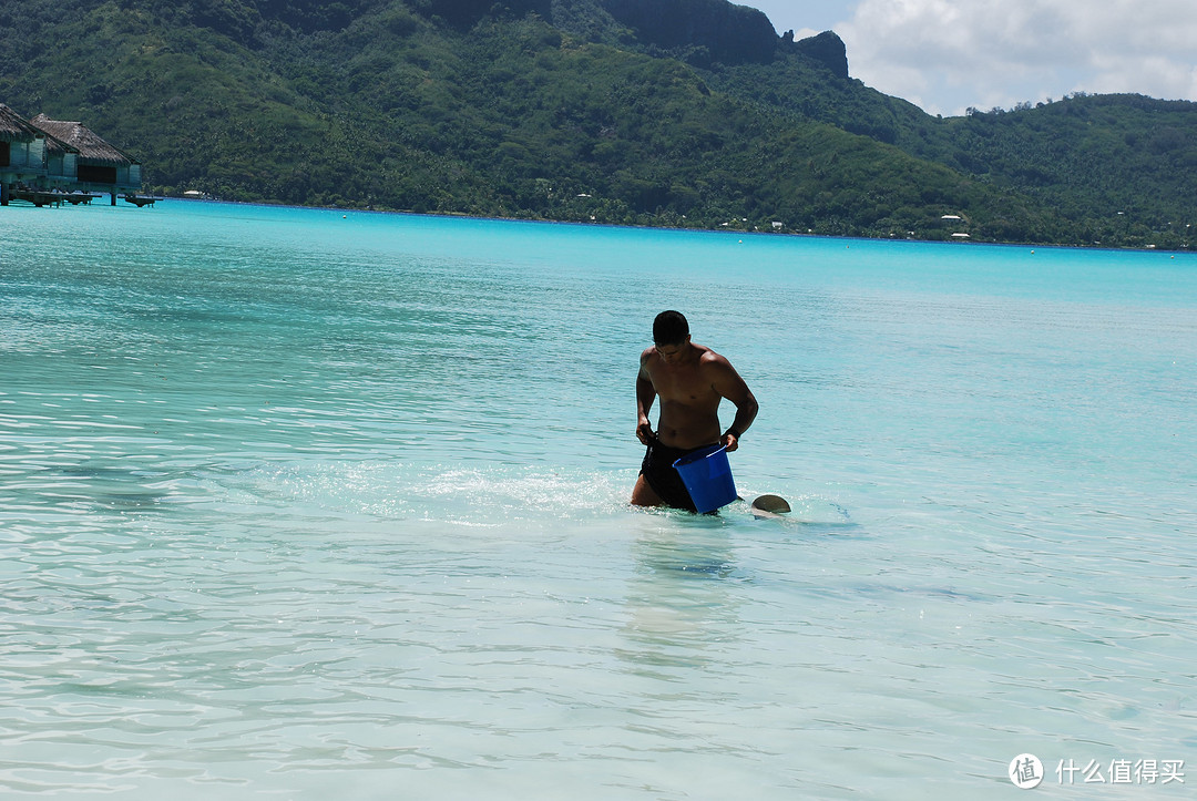 蜜月Tahiti，见识Tiffany蓝的海