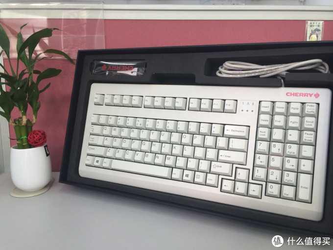 使用报告:我的第一块机械键盘——樱桃白轴