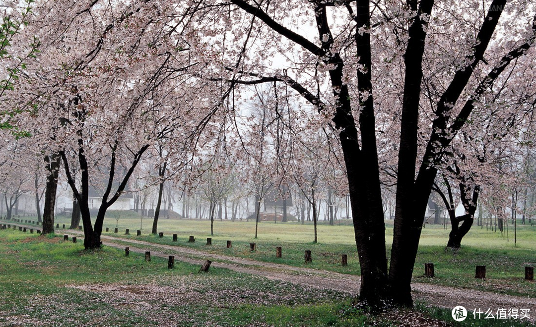 签证快讯：江原道延长免签期限 3月1日起跟团可停留10天