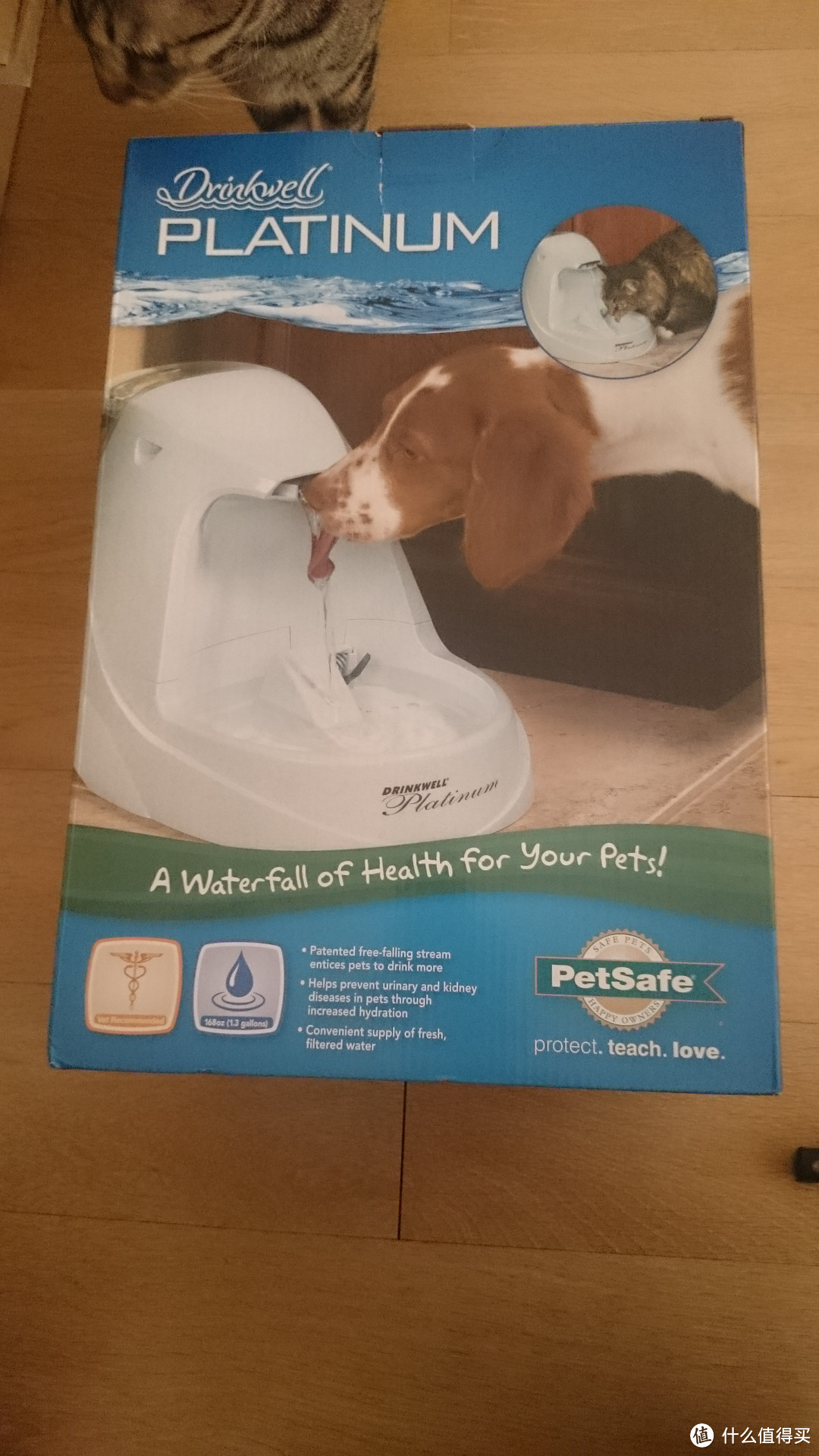 喝纯净的水，做纯gao洁leng的喵：PetSafe Drinkwell 宠物喷泉式饮水器