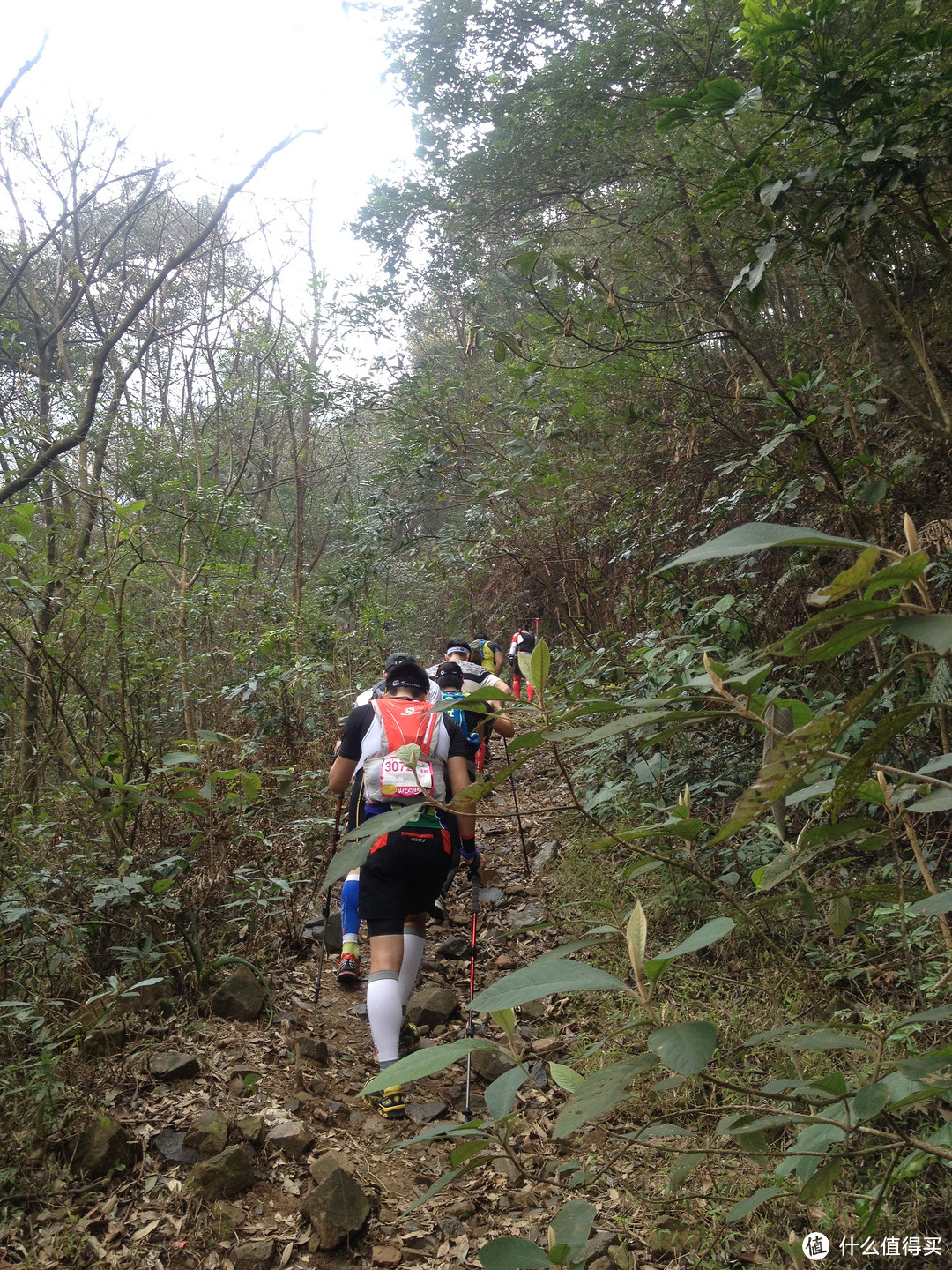 从来山水间，化作脚下路——CH50KM越野赛赛评（内有彩蛋）