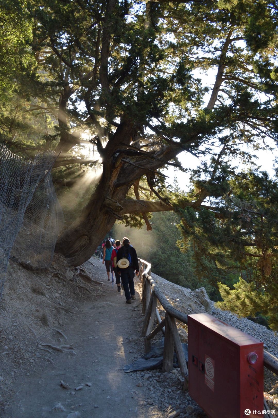 旅途中歇够了?大峡谷Hiking走起来!