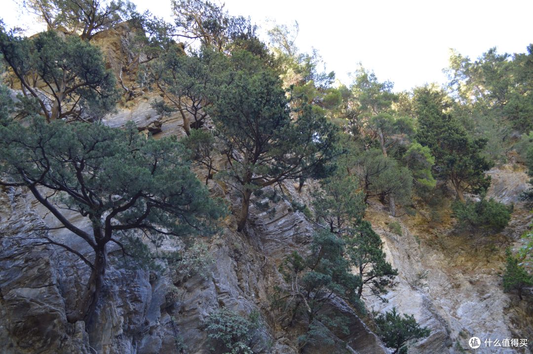 旅途中歇够了?大峡谷Hiking走起来!