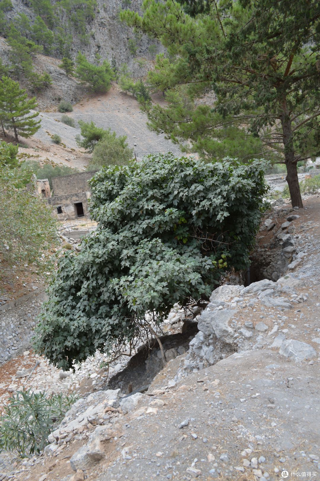 旅途中歇够了?大峡谷Hiking走起来!