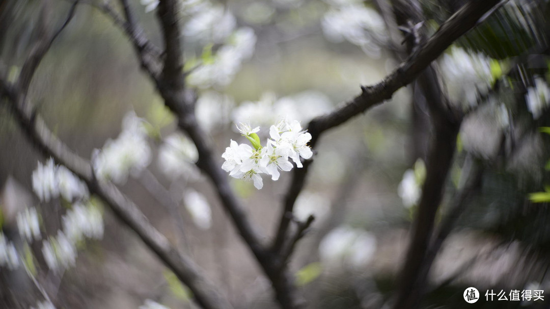 复刻经典：Petzval 匹兹瓦镜头 58mm F1.9 开箱