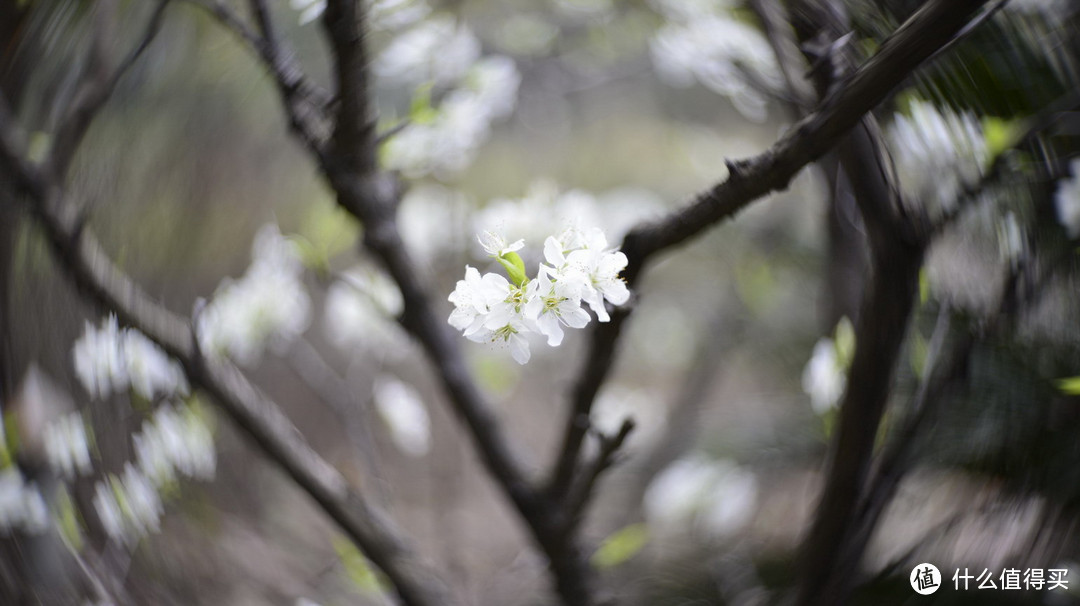 复刻经典：Petzval 匹兹瓦镜头 58mm F1.9 开箱