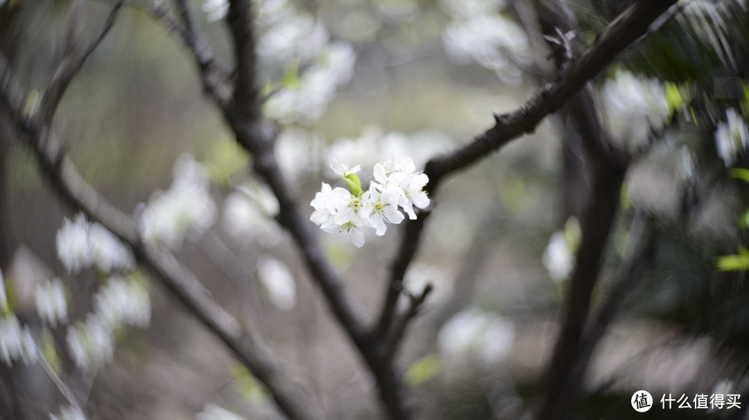 复刻经典：Petzval 匹兹瓦镜头 58mm F1.9 开箱