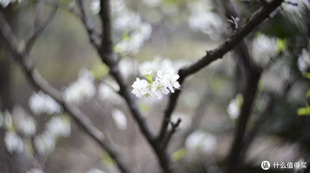 复刻经典：Petzval 匹兹瓦镜头 58mm F1.9 开箱