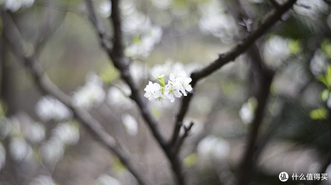 复刻经典：Petzval 匹兹瓦镜头 58mm F1.9 开箱