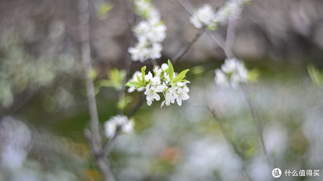 复刻经典：Petzval 匹兹瓦镜头 58mm F1.9 开箱