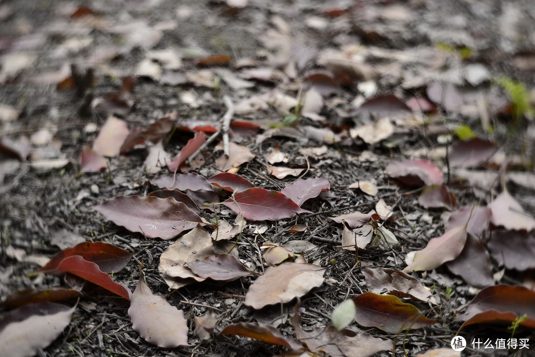 复刻经典：Petzval 匹兹瓦镜头 58mm F1.9 开箱