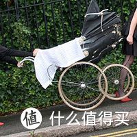 德淘  Inglesina Trilogy 旅行套装系列 婴儿车 风波记（附代理清关+德亚维权过程）