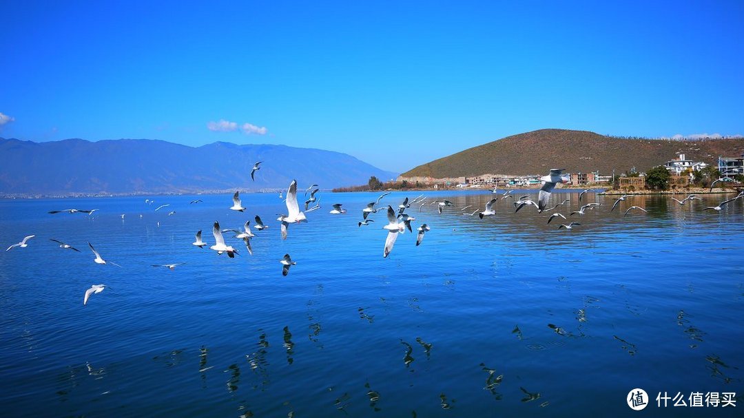 从春城出发：祥鹏航空 月底开通昆明=博鳌 昆明=银川 新航线