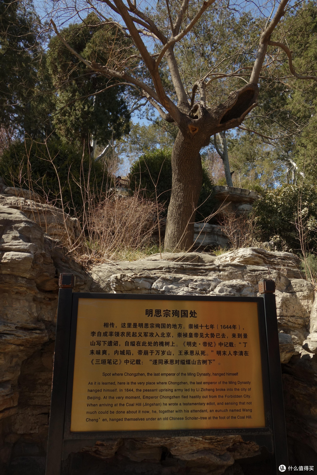 读了《明朝那些事》 带着黑卡相机去看崇祯皇帝殉国地—景山公园