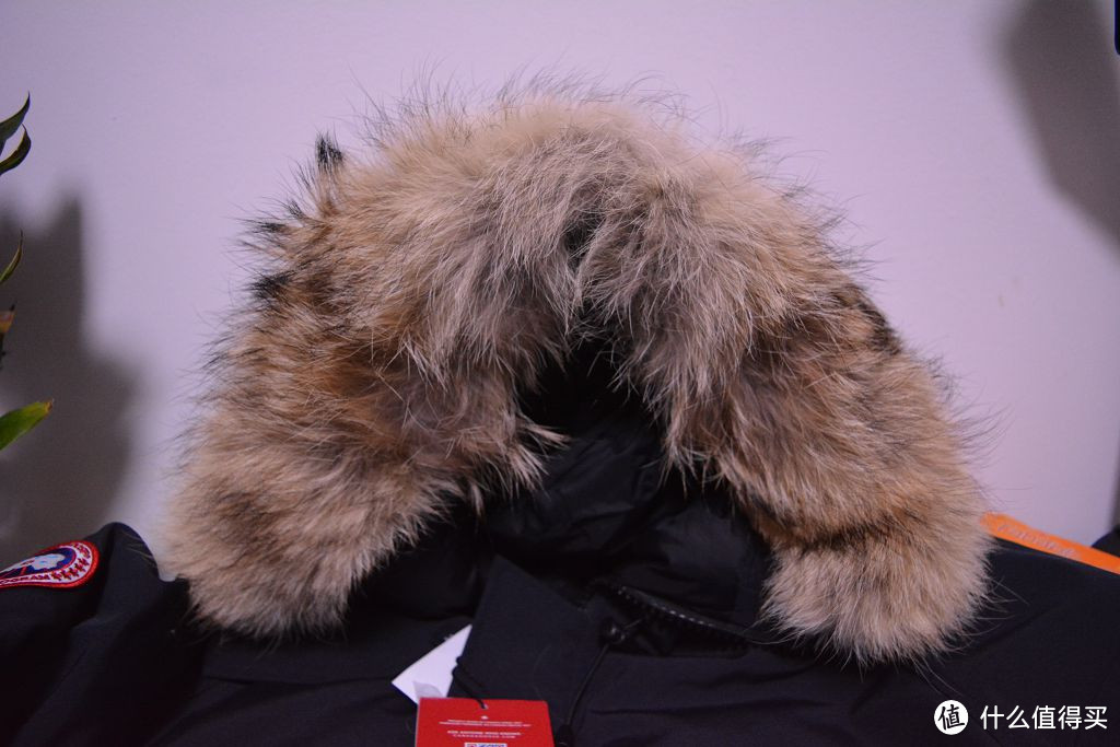 你就是保暖神器：Canada Goose Chilliwack Bomber