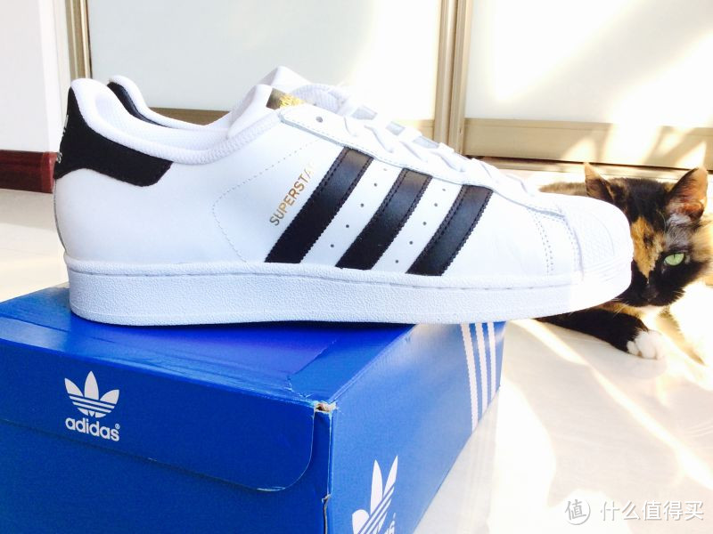 Adidas Superstar Originals 金标开箱真人兽（全程喵星人乱入）