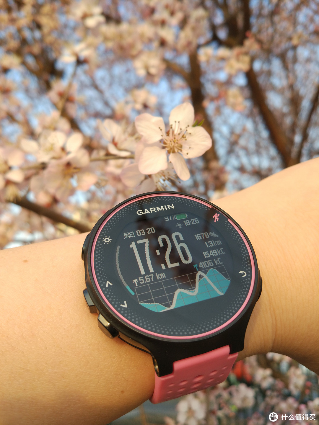 一个糙汉子带着粉色Garmin Forerunner 235在公园跑步是一种什么样的体验