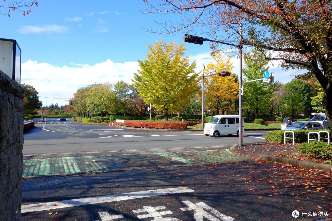 日本不只买买买 深度自由行走出东京绝美一面篇二 高尾山观云海 感受昭和公园极致美景 国外旅游 什么值得买