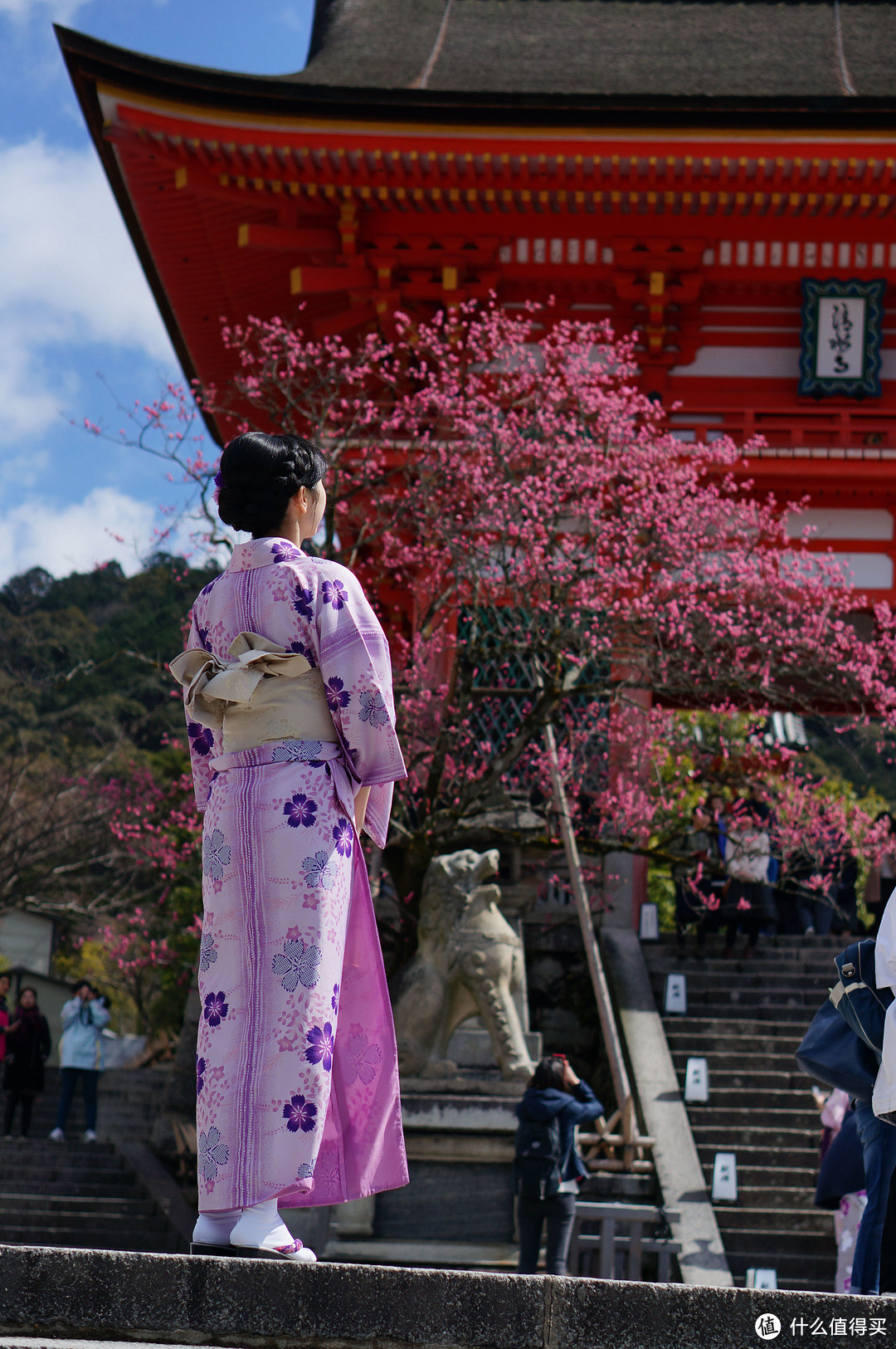 赶在樱花季前-典型日本七日游（大阪京都东京）