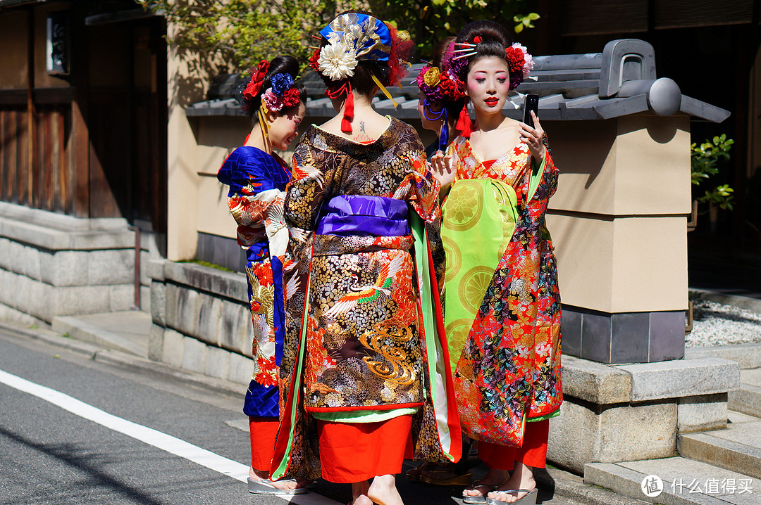 赶在樱花季前-典型日本七日游（大阪京都东京）