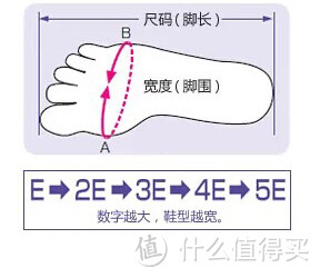 图3-10 鞋型与脚宽的关系