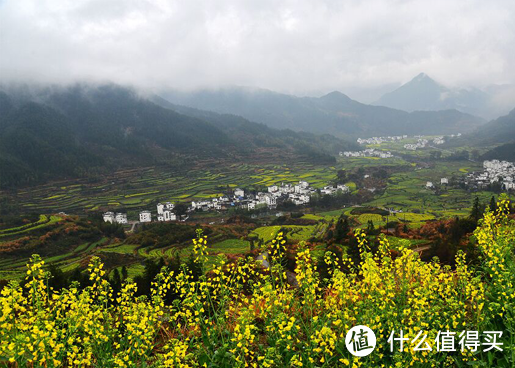 专题：寻找花姑娘——春季油菜花观赏地推荐