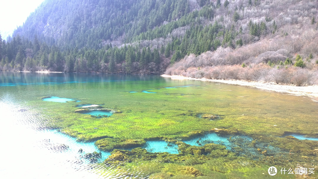 重庆-九寨之旅