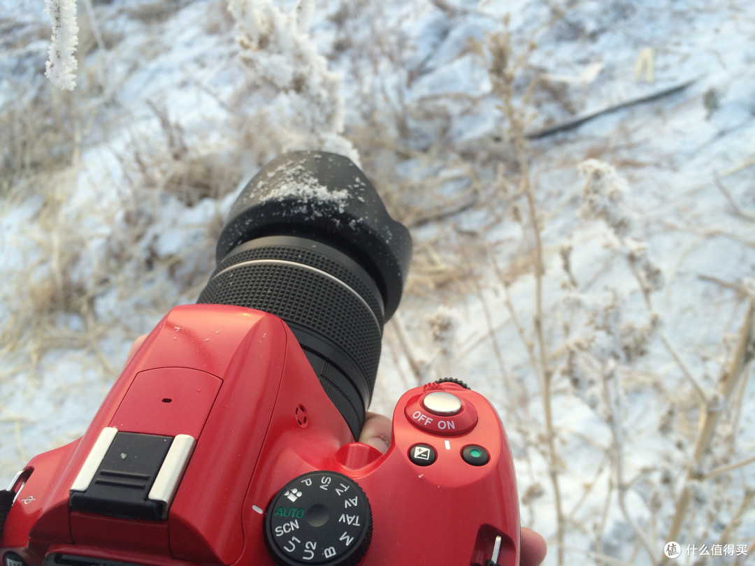 Pentax 宾得 K-50新手使用报告