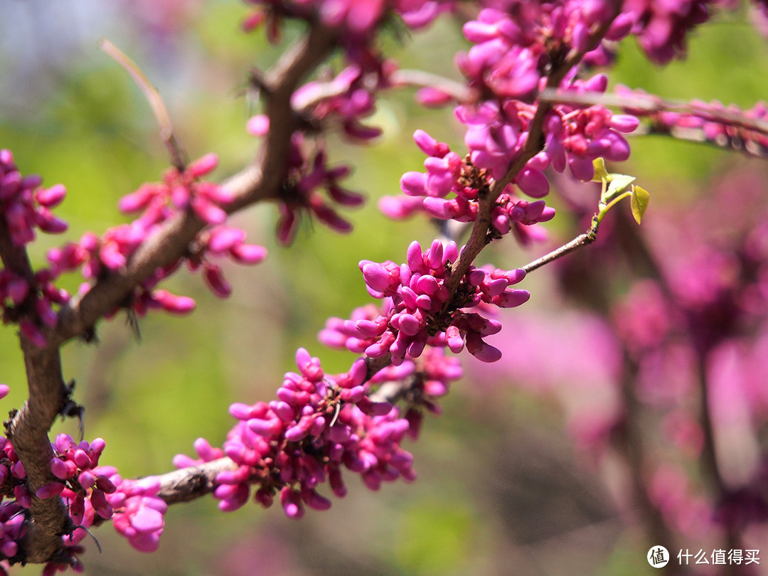 #本站首晒# Panasonic 松下 X45-175 f/4-5.6 OIS 镜头