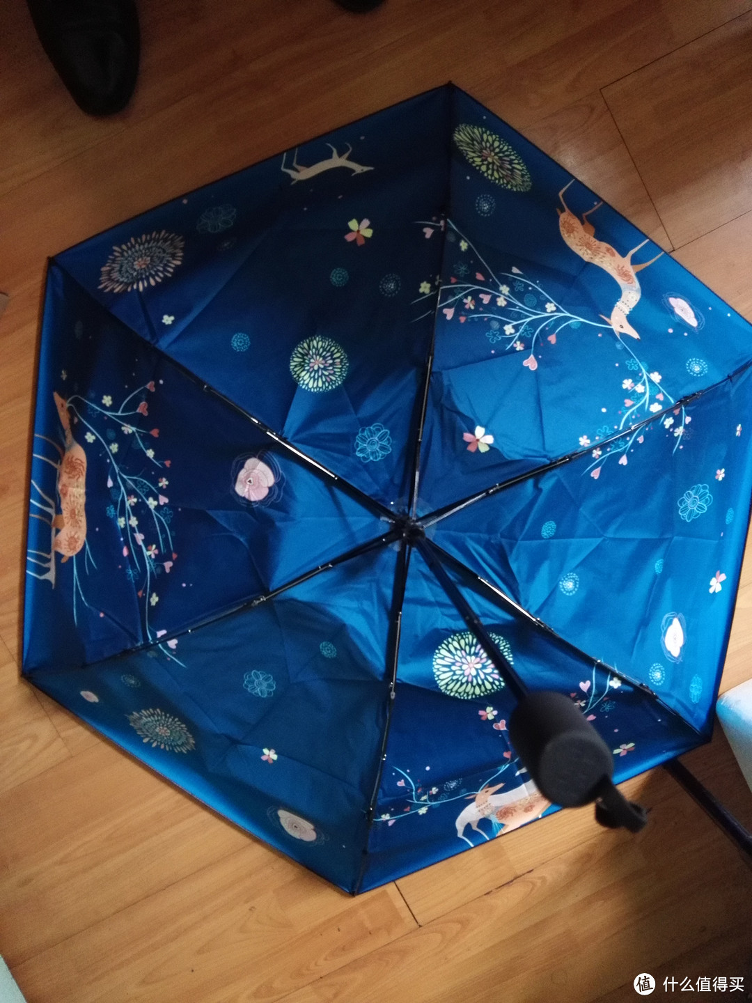 “未夏绸缪”，入手日系风格小清新太阳伞