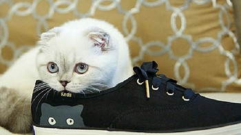 KedsTaylor Swift Sneaky Cat 小白猫猫鞋，去踏青喽！