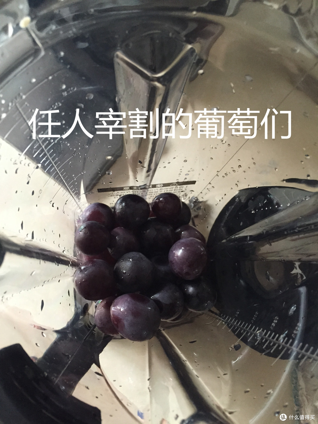 #本站首晒# 大妈浑身都是宝 ,“资讯”也有大福利——THERMOS 膳魔师 破壁机