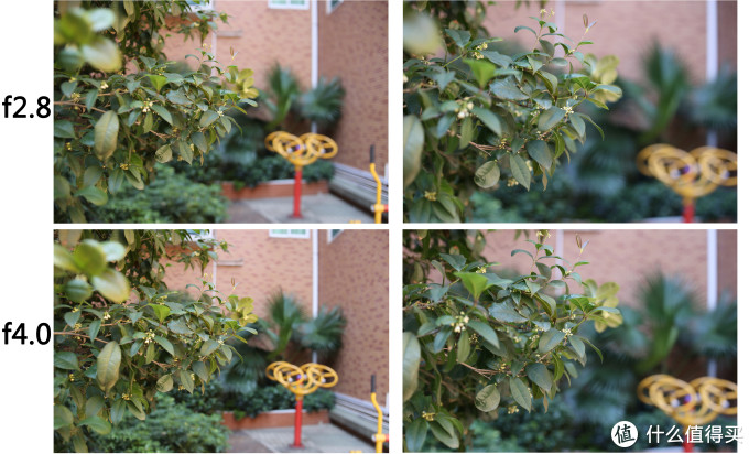 廉价好货：YONGNUO 永诺 35mm f2.0 VS Cannon 佳能 50stm f1.8 镜头