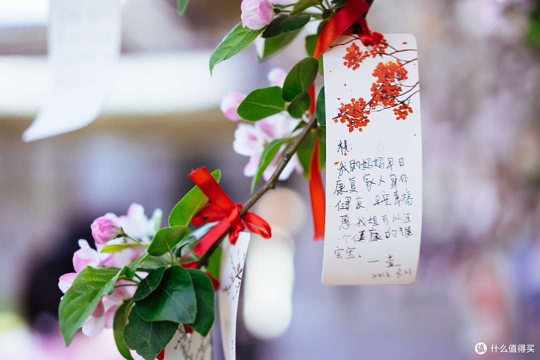 秦风唐韵初览