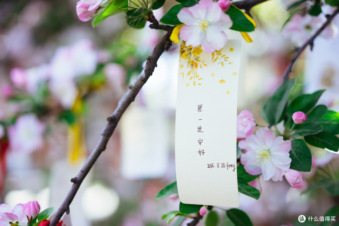 秦风唐韵初览