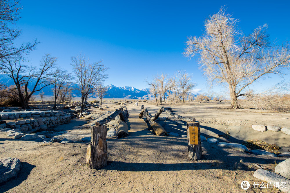 刷国家公园的那点事——Death Valley&Joshua Tree