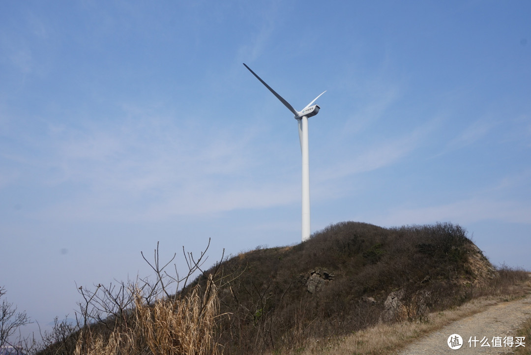 #莫负好春光# 登高去看大风车--浙江宁波穿山风电场攻略