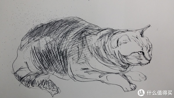 钢笔画shownoodlersink鲶鱼钢笔不靠谱绘画测评