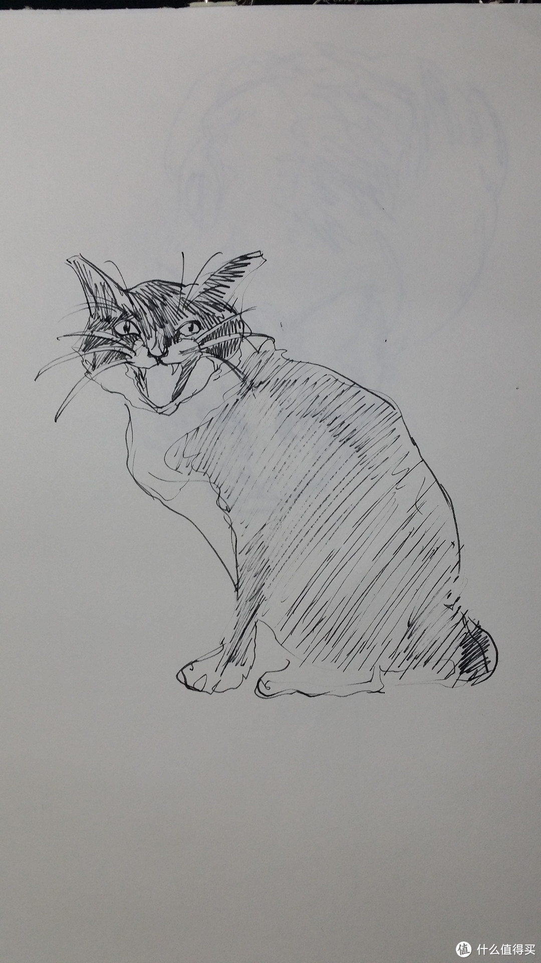 钢笔画show——noodlers ink 鲶鱼钢笔不靠谱绘画测评