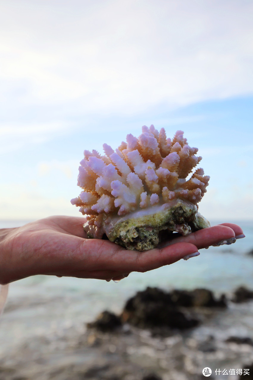 梦幻大溪地蜜月之Bora Bora篇（海量美图）