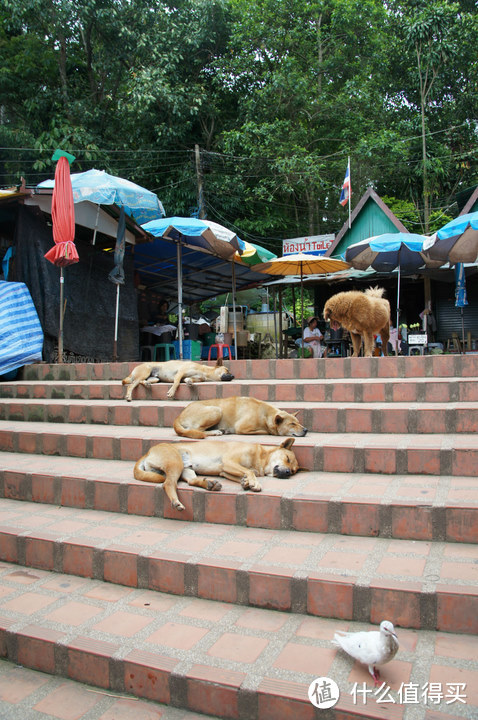 泰国：诱惑，我的榴莲之旅