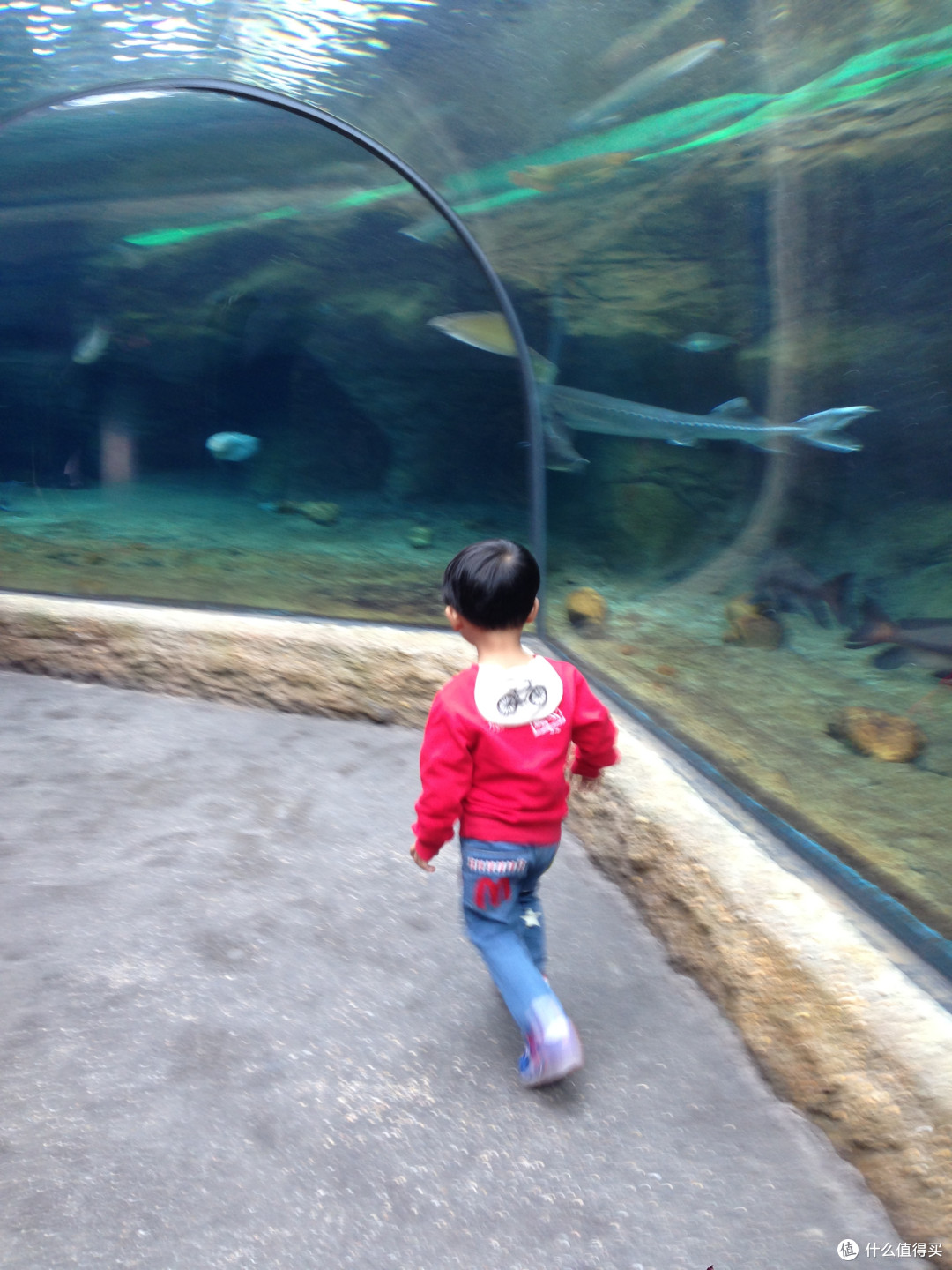 带娃旅游之珠海长隆+澳门