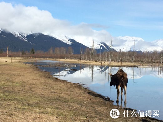 人间仙境Anchorage