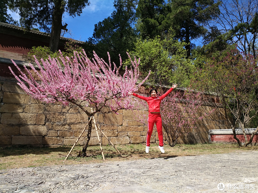 香山公园不仅有秋天红叶，还有春天繁花—vivo Xplay5随手拍